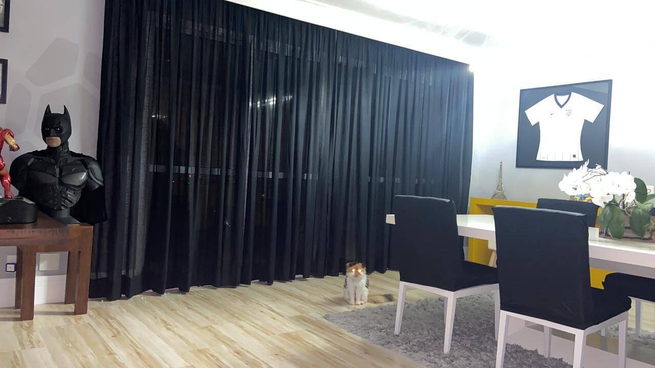 Apartamento à venda com 3 quartos, 260m² - Foto 15